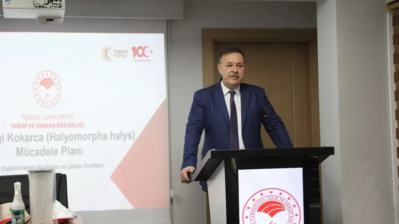 trabzonda-kokarca-alarmi-100-bin-hanede-ilaclama-hedefi