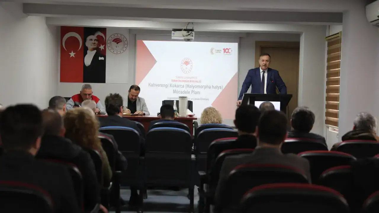 trabzonda-kokarca-alarmi-100-bin-hanede-ilaclama-hedefi