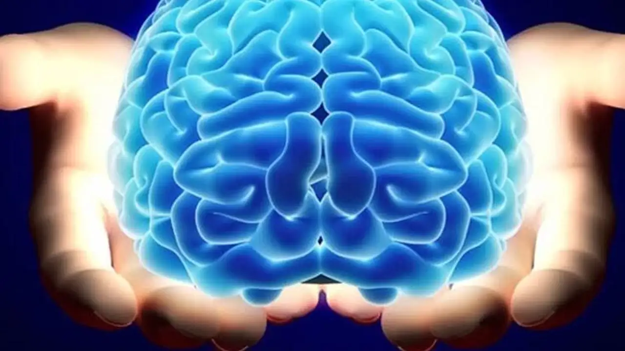 sapyoseksuel-ne-demek