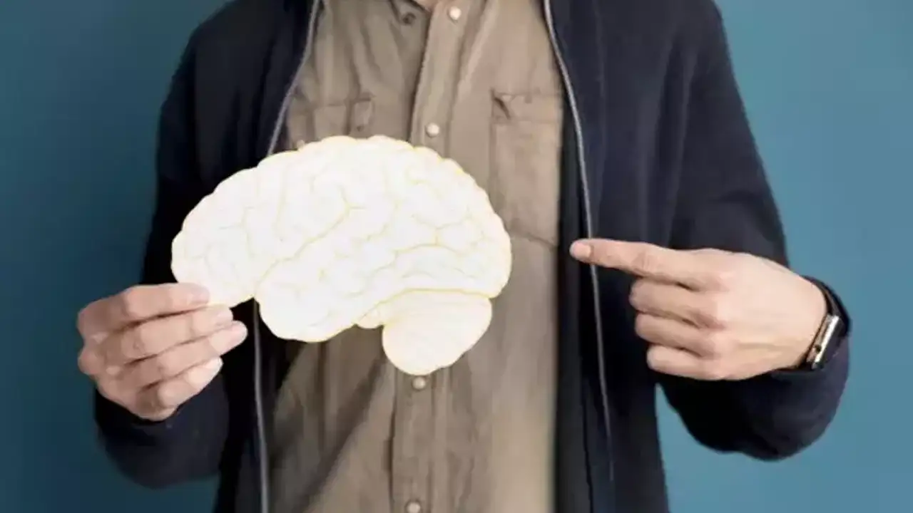 sapyoseksuel-ne-demek