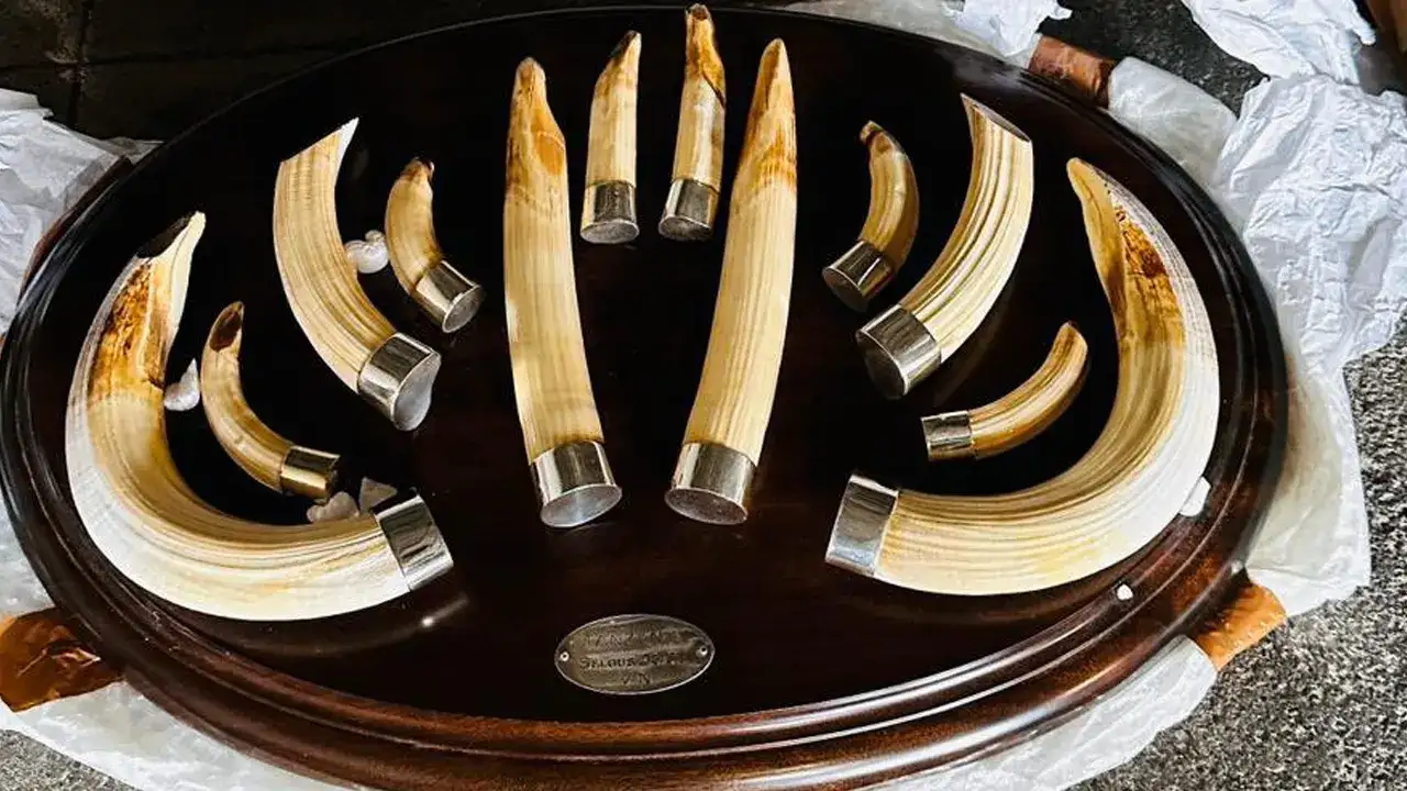 trabzon-limaninda-dev-operasyon-19-trofeye-el-konuldu