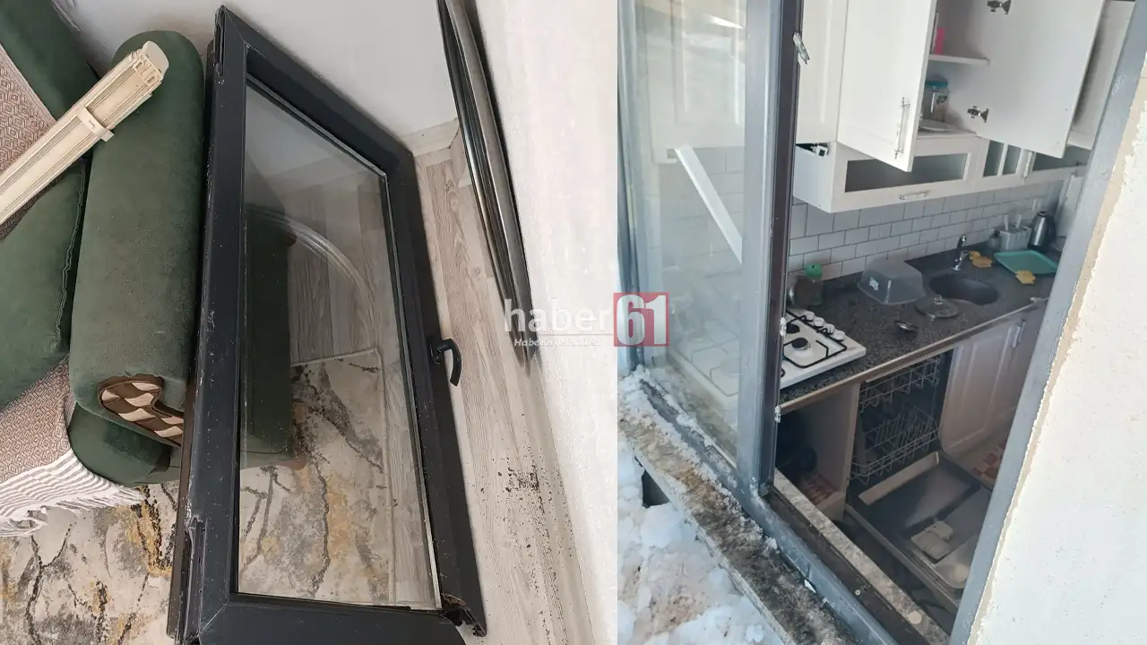 gumushanede-ayi-dehseti-saldirinin-boyutunu-fotograflar-anlatti