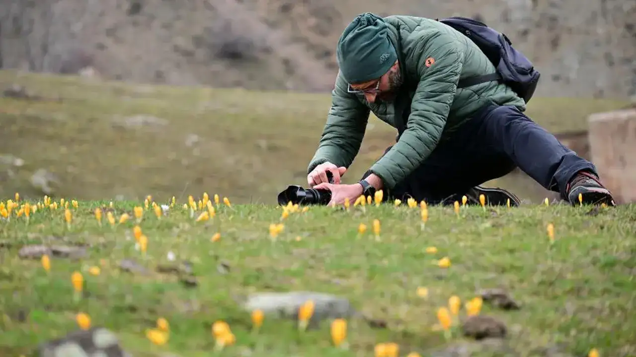 gumushanede-doga-soleni-cigdemler-vadeyi-renklendirdi