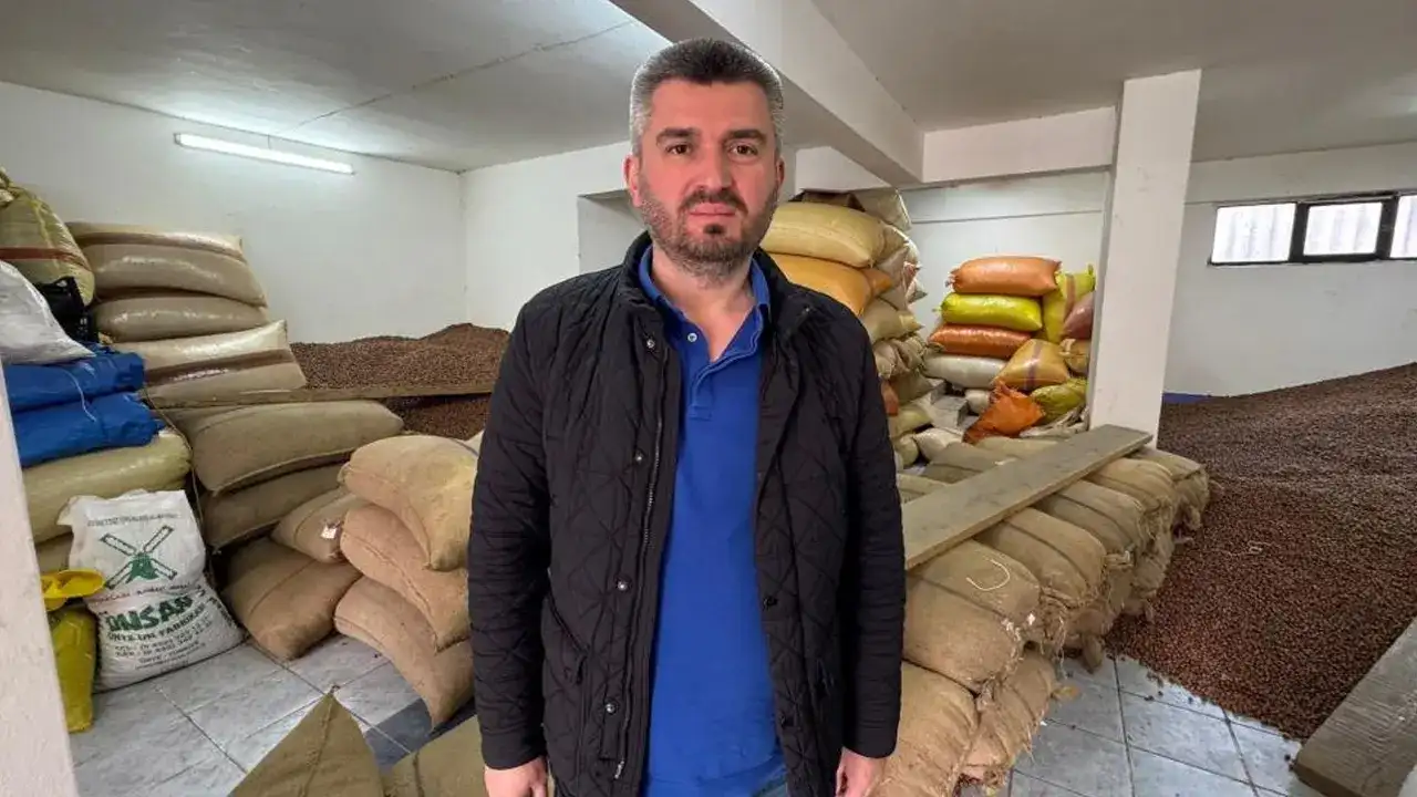 findik-fiyati-geriledi-surecte-kritik-etken-rekolte