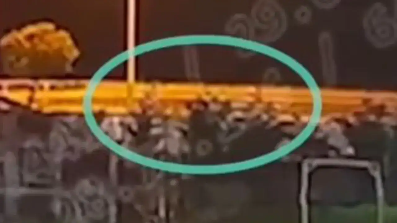 giresunda-oldurulen-kiz