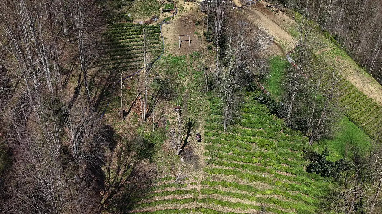 rizede-82-yasindaki-kadin-180-metrelik-teleferikle-evine-ulasiyor