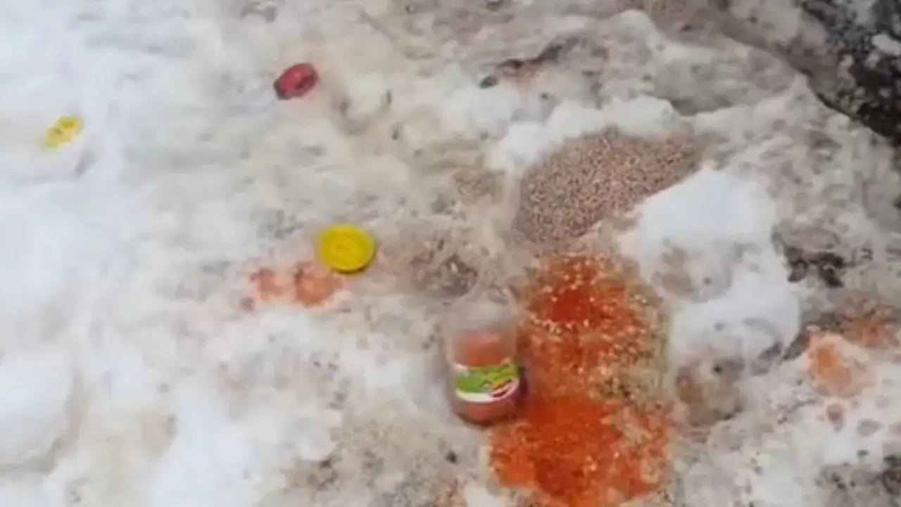 surmenede-kaydedilen-goruntuler-ayi-zararini-ortaya-koydu