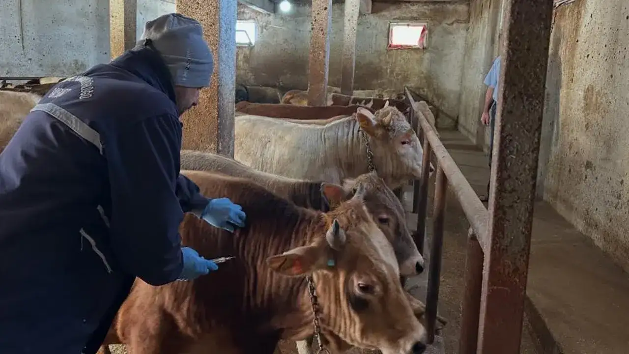 bayburt-aydintepede-sap-asilama-kampanyasi-tamamlandi