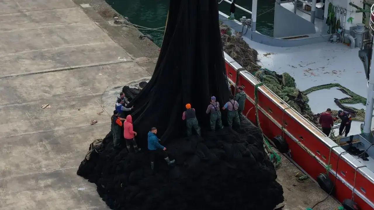 trabzonda-balikcilar-sezonu-kapatti-hamsi-bol-kazanc-dusuk