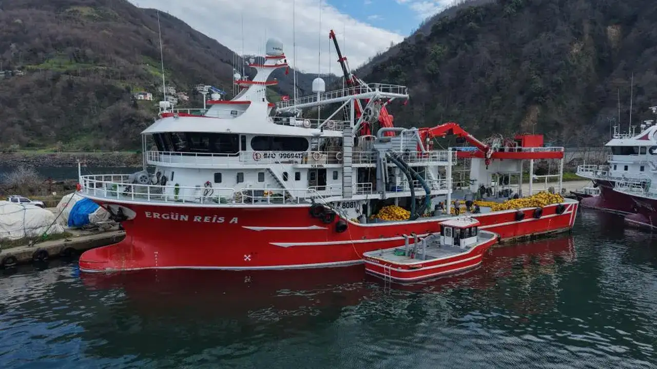 trabzonda-balikcilar-sezonu-kapatti-hamsi-bol-kazanc-dusuk