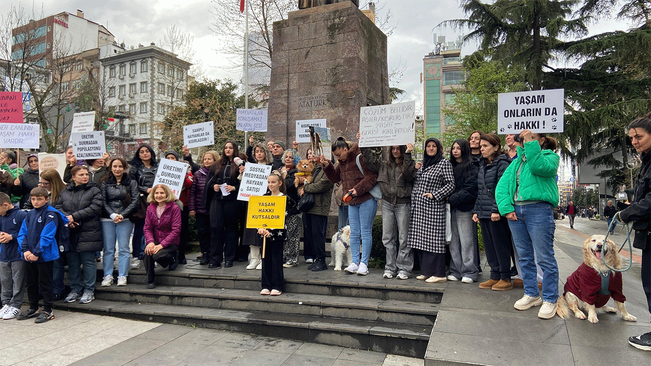 trabzonda-barinaklar-kisir-dongunun-kurbani