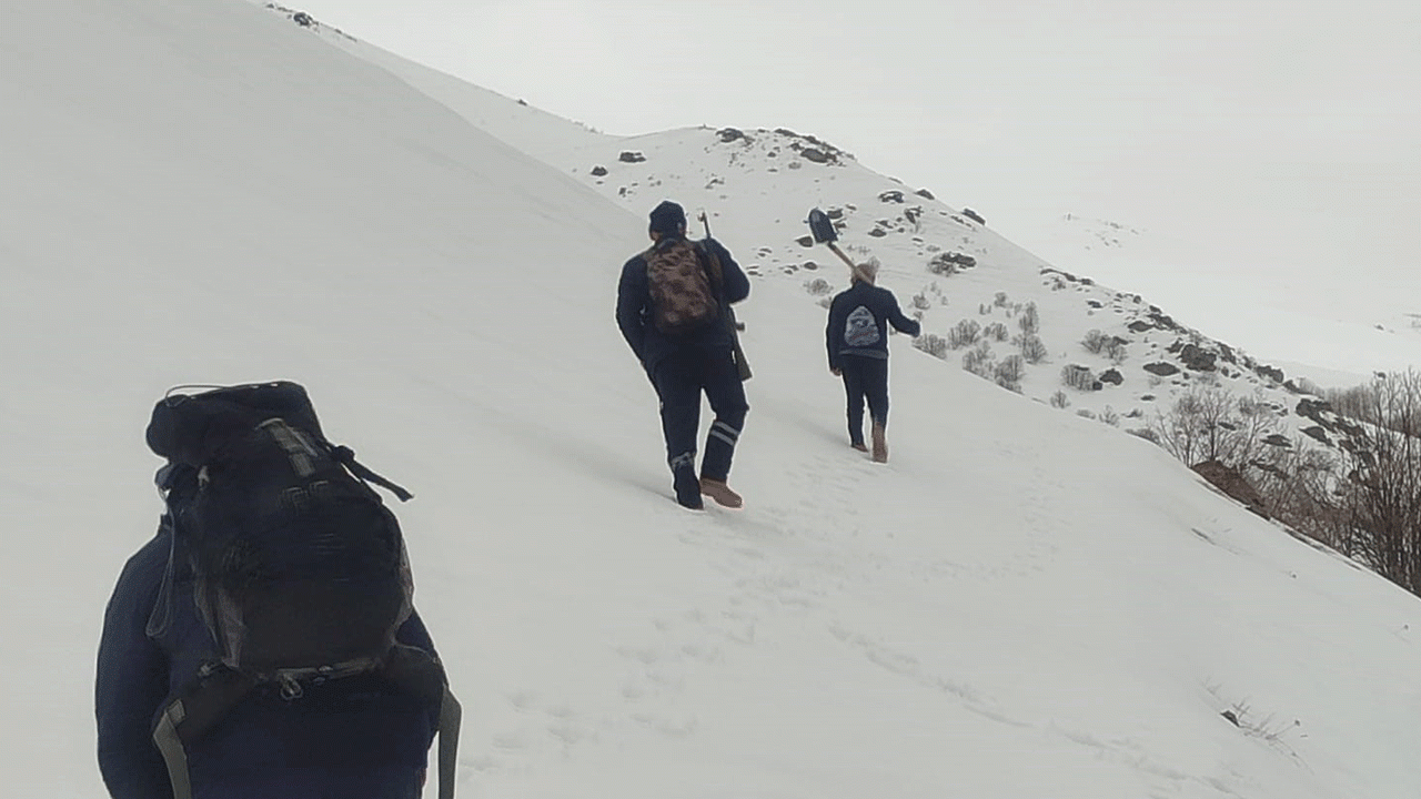 bayburtta-ayi-saldirilarinin-yasandigi-yaylada-ulasim-sorunu-suruyor