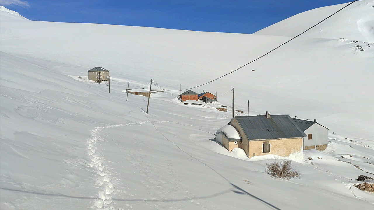 bayburtta-ayi-saldirilarinin-yasandigi-yaylada-ulasim-sorunu-suruyor