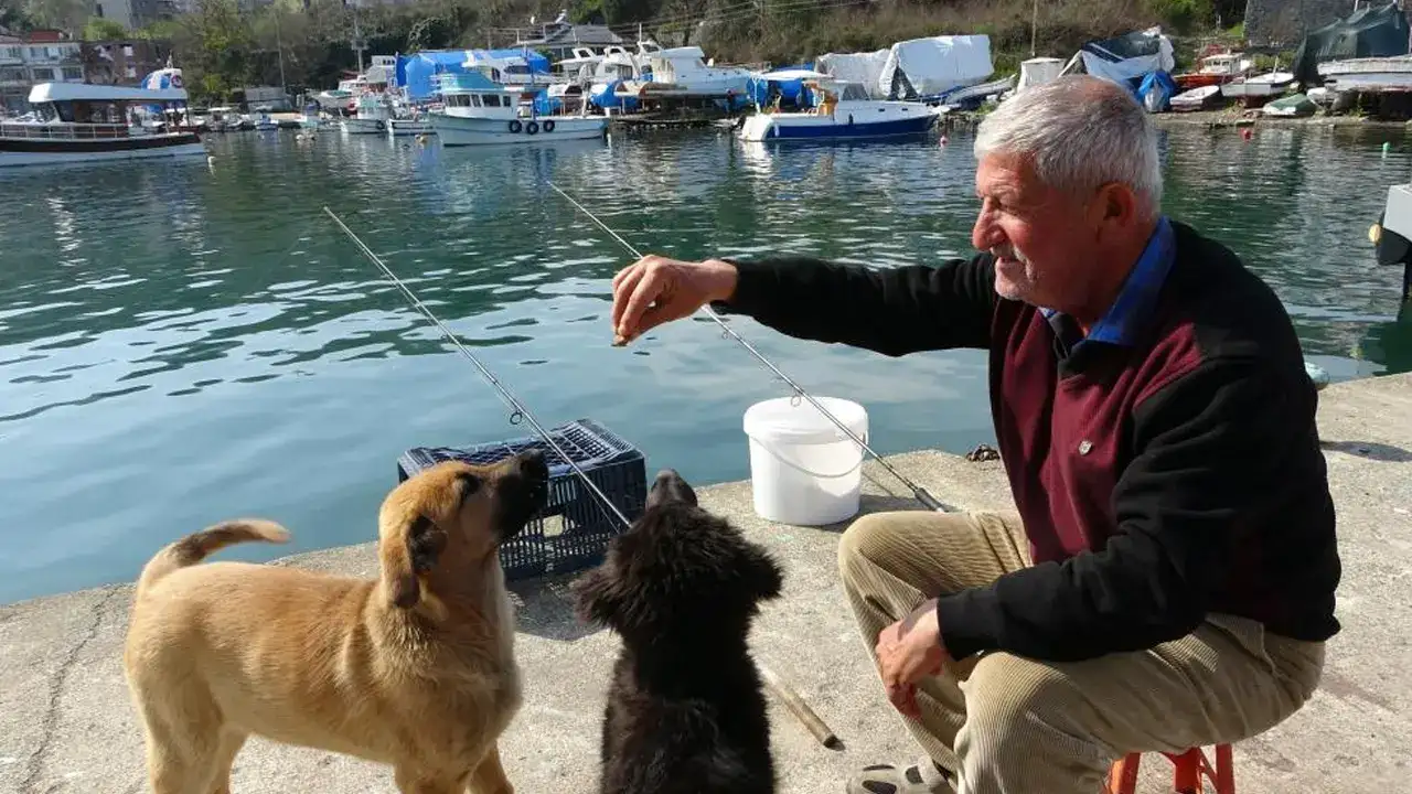 ordu-persembede-balikcidan-ornek-davranis-kopekleri-besliyor