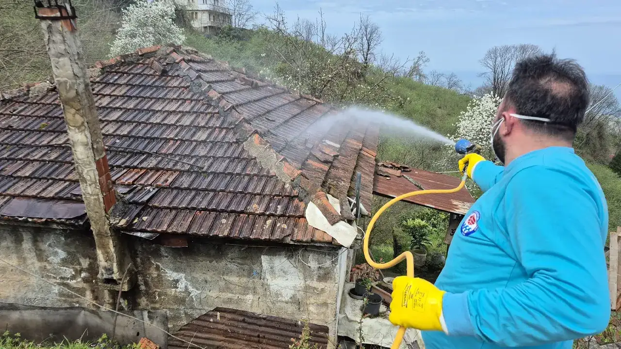 trabzonda-kahverengi-kokarcaya-karsi-mucadele-suruyor