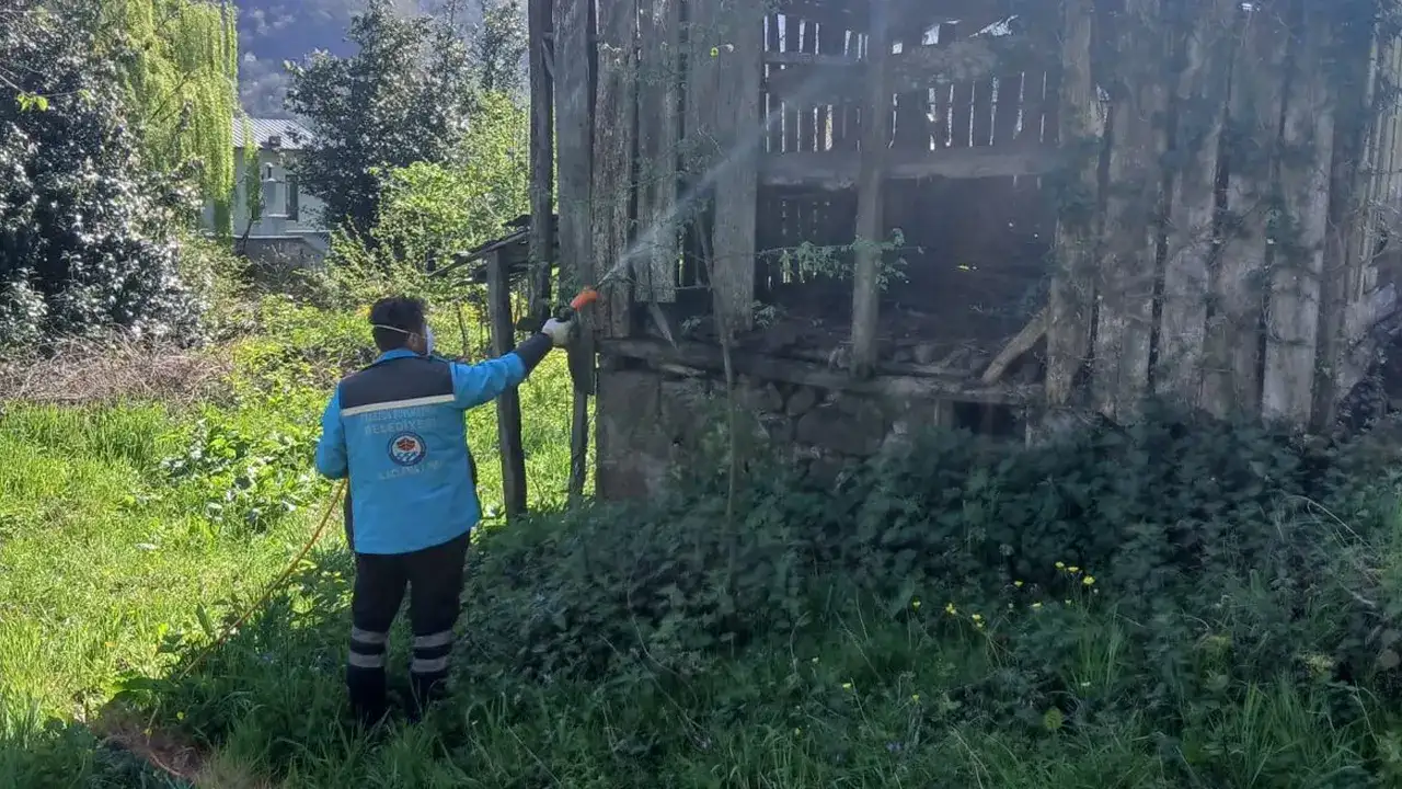 trabzonda-kokarcayla-mucadeleye-buyuksehirden-destek