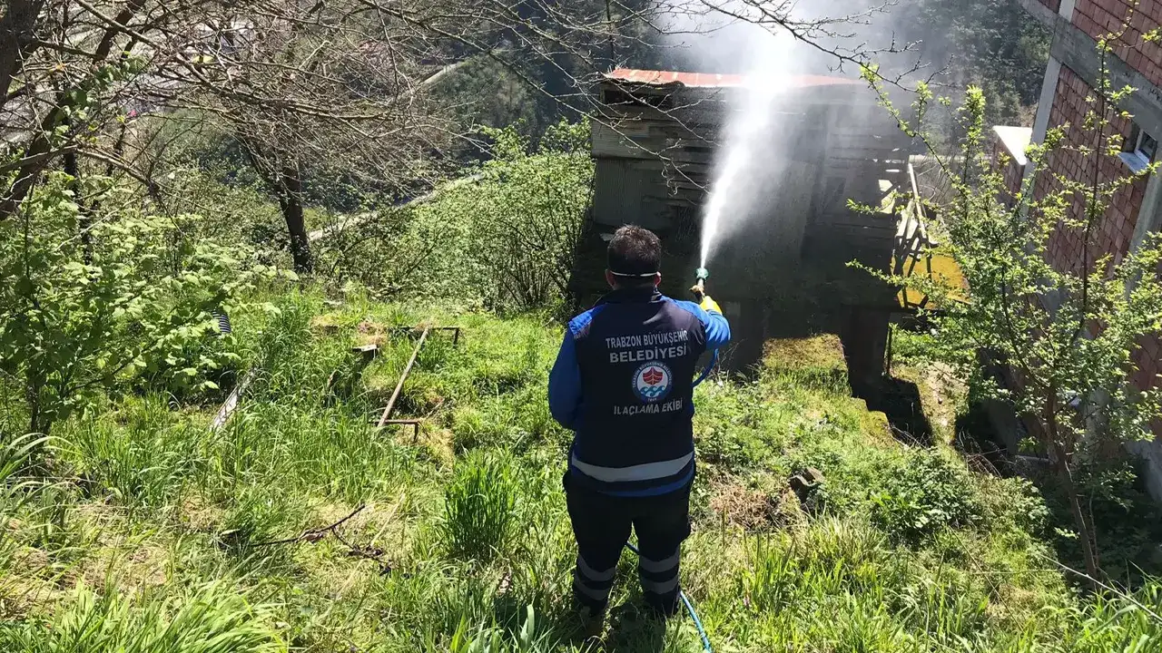 trabzonda-kokarcayla-mucadeleye-buyuksehirden-destek