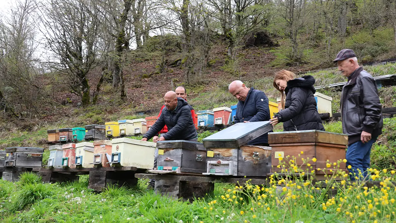 artvinde-bal-calistayi-uretim-ve-cesitlilik-vurgusu