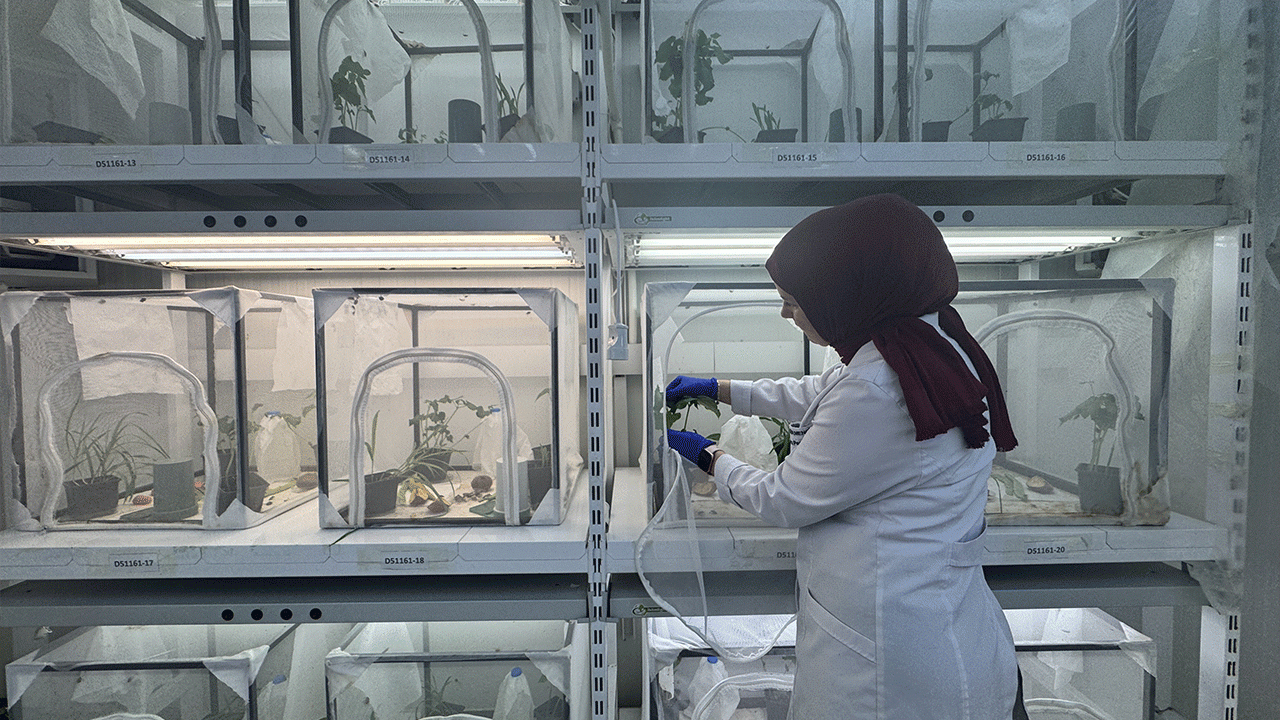 dogu-karadenizde-laboratuvarda-uretiliyor-dogaya-salinacak