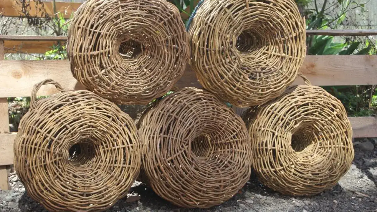 orduda-45-yillik-ustalik-dikenli-sarmasikla-balik-sepeti-oruyor