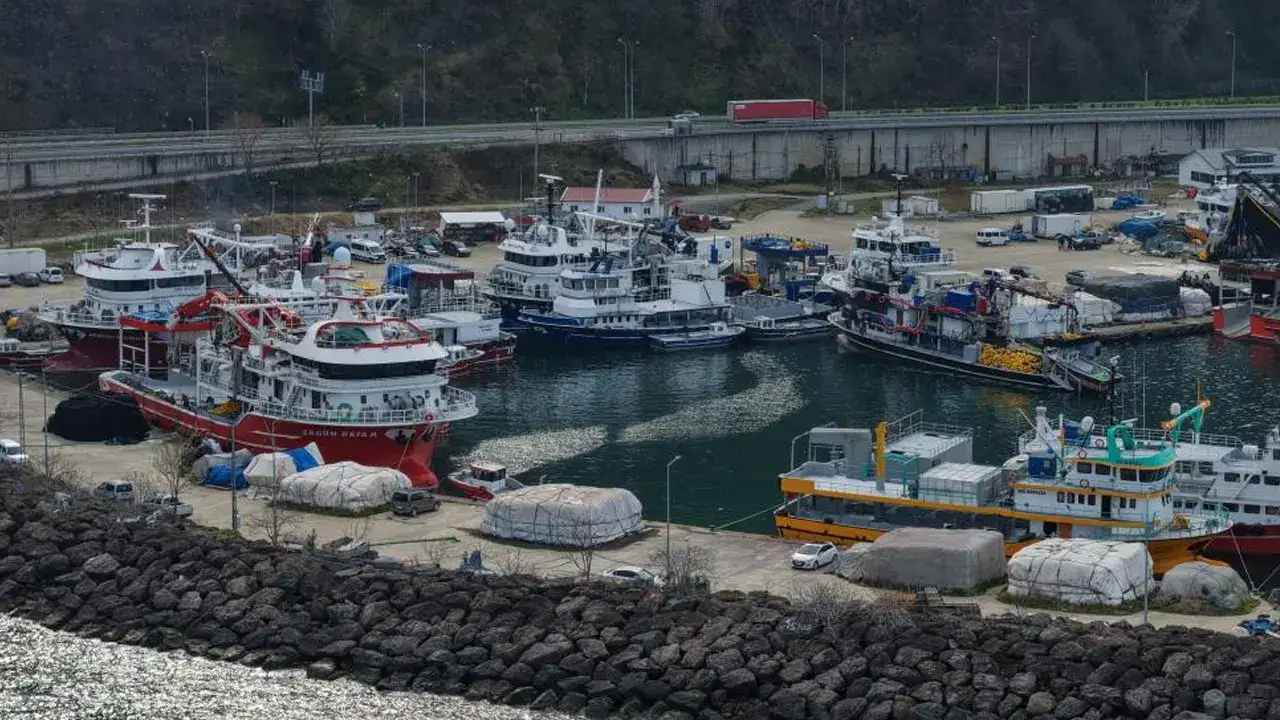 trabzonda-balik-sezonu-bereketli-gecti-hamsi-ve-istavrit-one-cikti