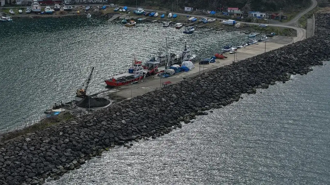 trabzonda-balik-sezonu-bereketli-gecti-hamsi-ve-istavrit-one-cikti