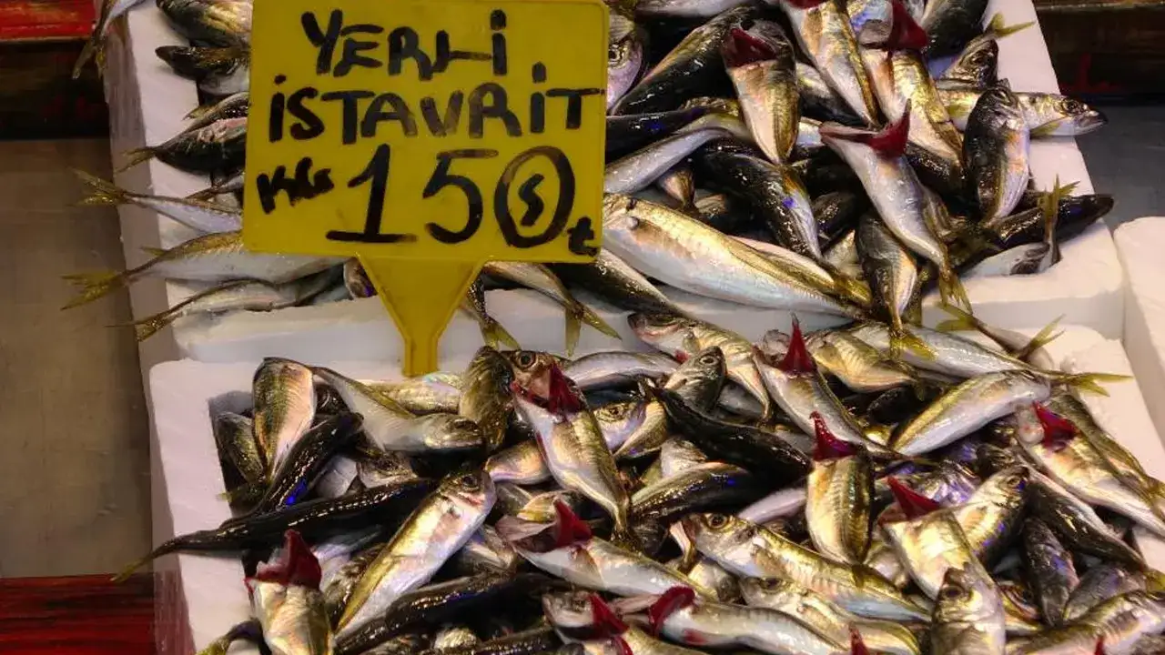 trabzonda-balik-sezonu-bereketli-gecti-hamsi-ve-istavrit-one-cikti