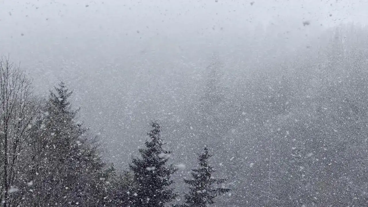 beyaza-burundu-zigana-dagi