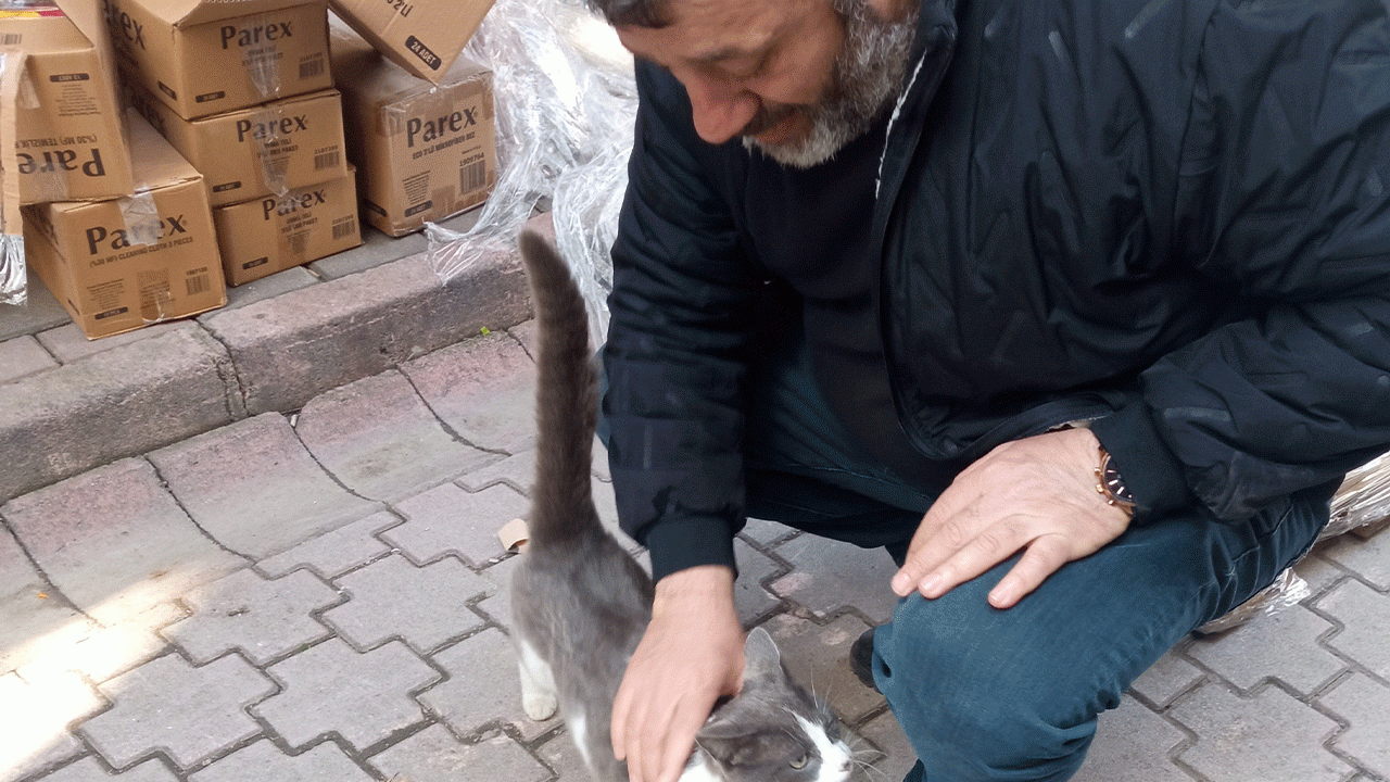 kopeklerden-kacan-kedinin-imdadina-itfaiye-yetisti