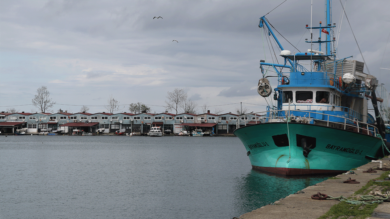 palamudun-uzdugu-karadenizli-balikcilari-hamsi-mutlu-etti