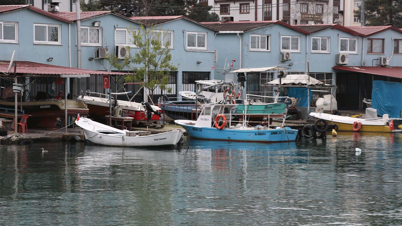 palamudun-uzdugu-karadenizli-balikcilari-hamsi-mutlu-etti