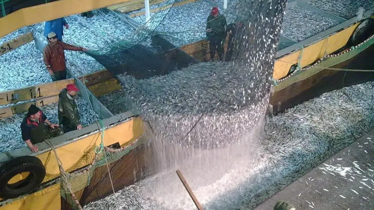 balikcilik-sezon-sona-erdi