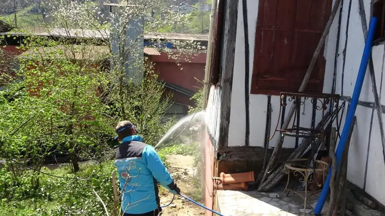 kokarca-devam-ediyor