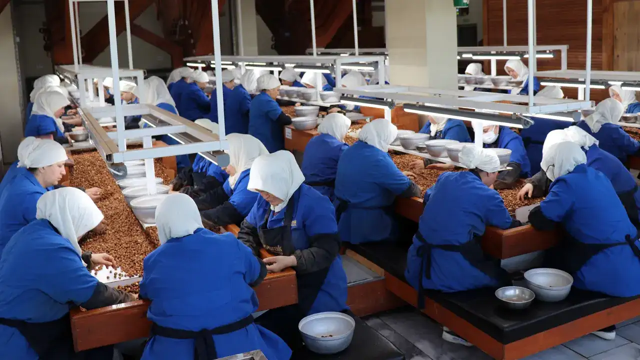 findikta-kadin-gucu-giresun-zirvede-ordu-ilk-10da