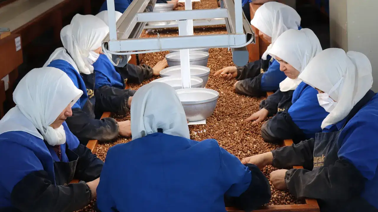 findikta-kadin-gucu-giresun-zirvede-ordu-ilk-10da