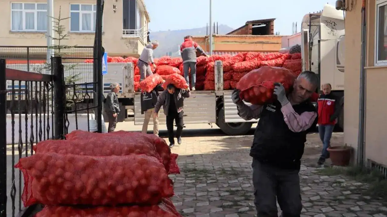 orduda-ureticiye-45-ton-tohumluk-patates-destegi