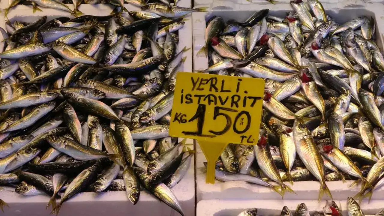 trabzonda-balik-tezgahlarinda-son-durum