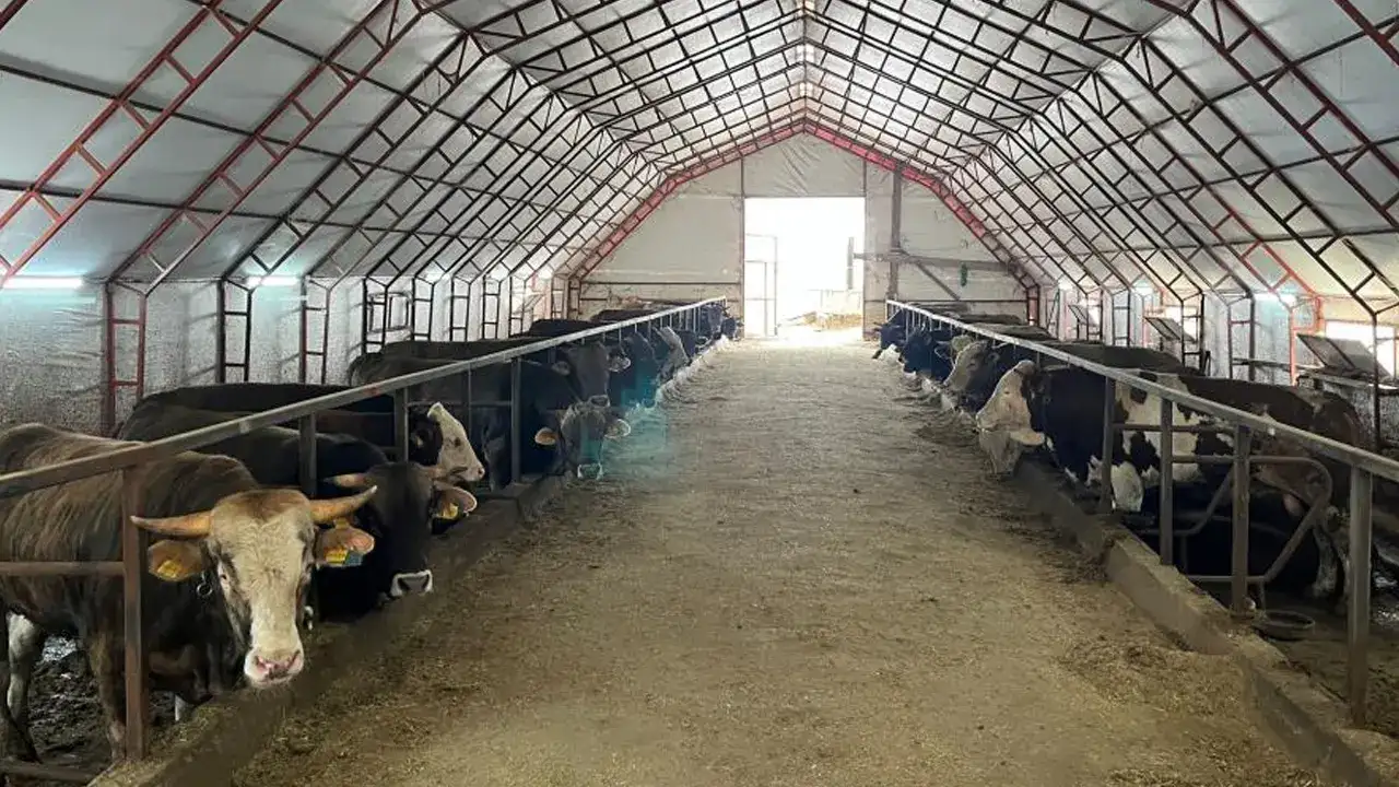 artvinde-besiciler-zor-durumda-maliyet-artti-satis-dustu