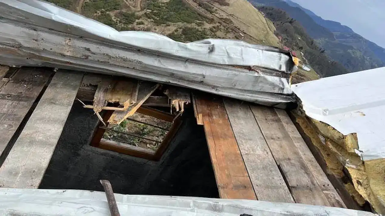 trabzonda-ayi-panigi-evleri-talan-etti