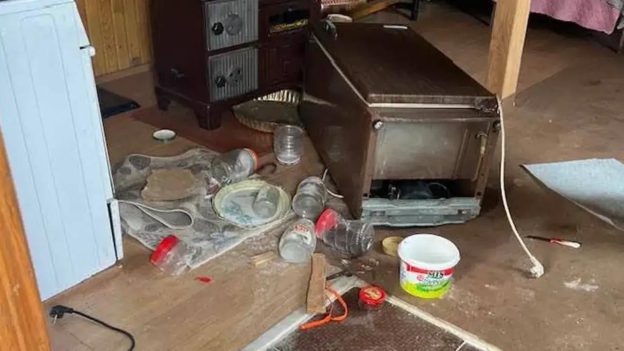 trabzonda-ayi-panigi-evleri-talan-etti