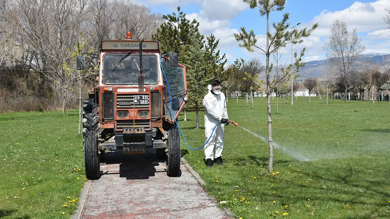 gumushanede-kene-alarmi-mucadele-basladi