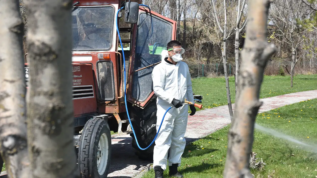 gumushanede-kene-alarmi-mucadele-basladi