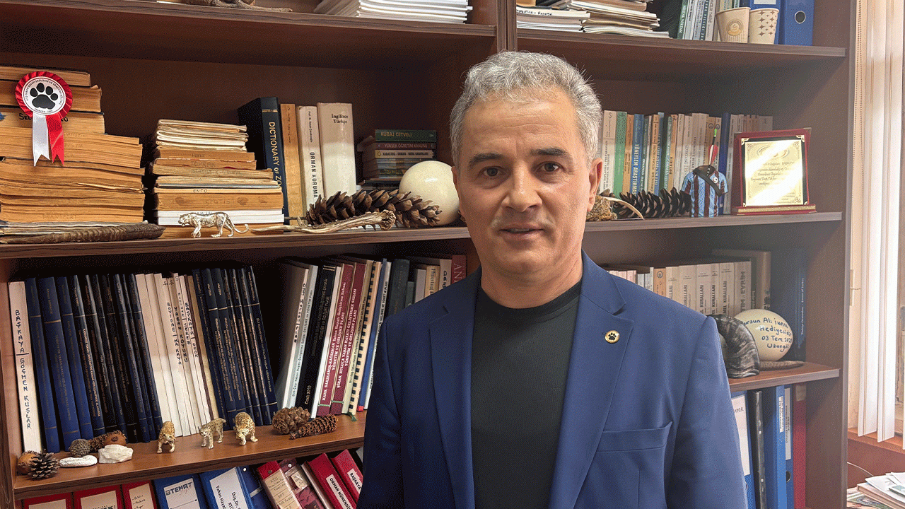 dogu-karadeniz-yaylalarinda-ayi-tehlikesi