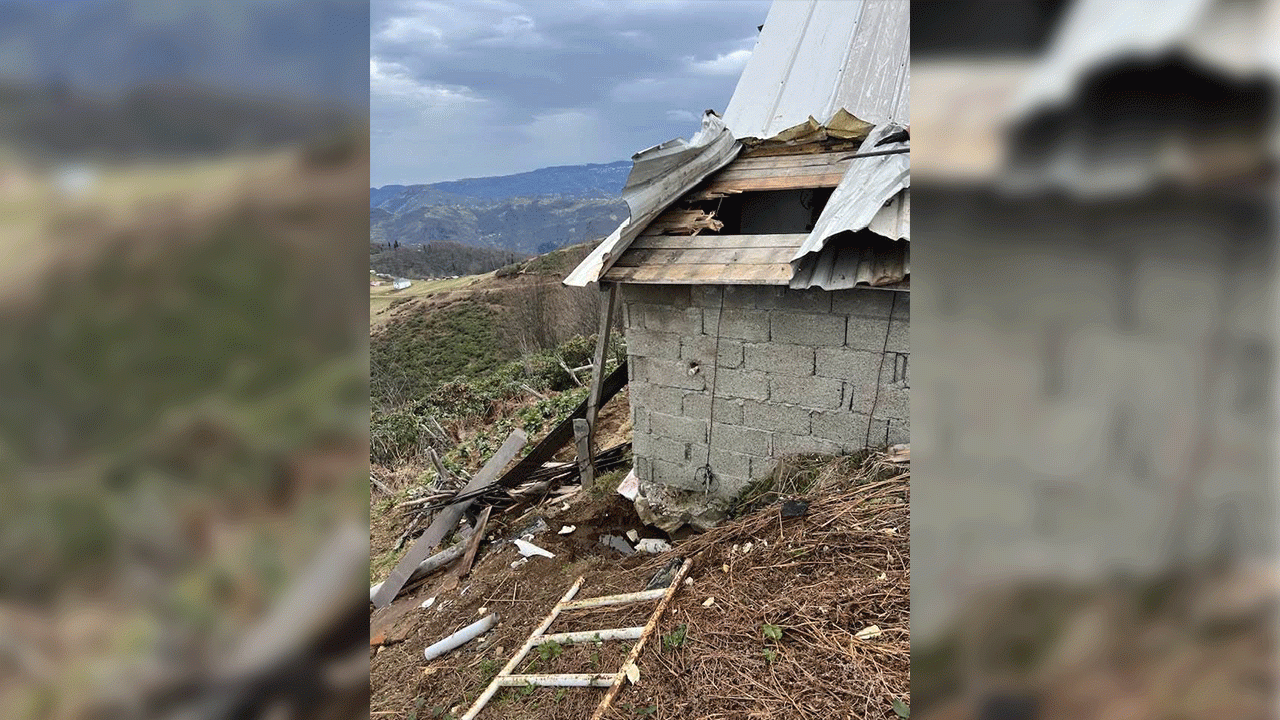 dogu-karadeniz-yaylalarinda-ayi-tehlikesi