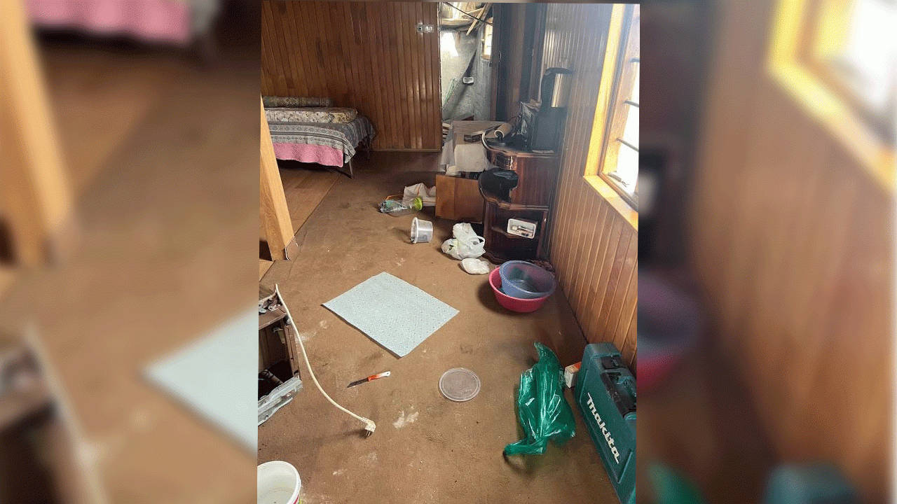 dogu-karadeniz-yaylalarinda-ayi-tehlikesi