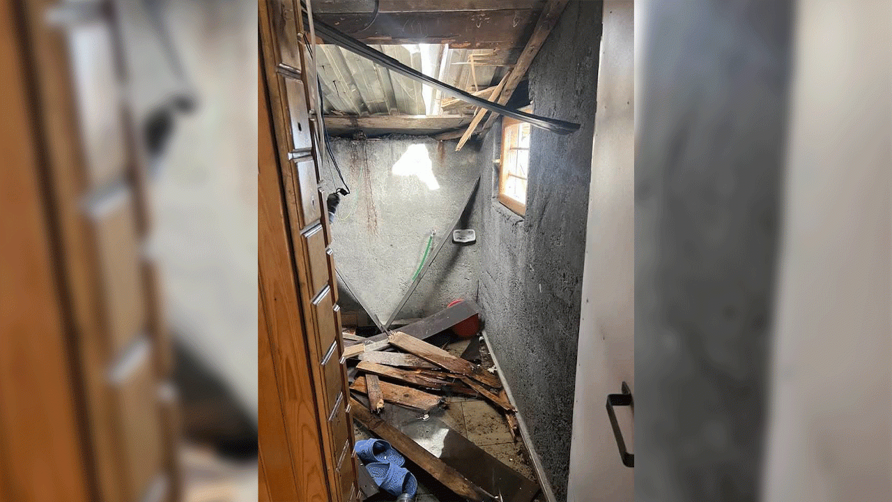 dogu-karadeniz-yaylalarinda-ayi-tehlikesi