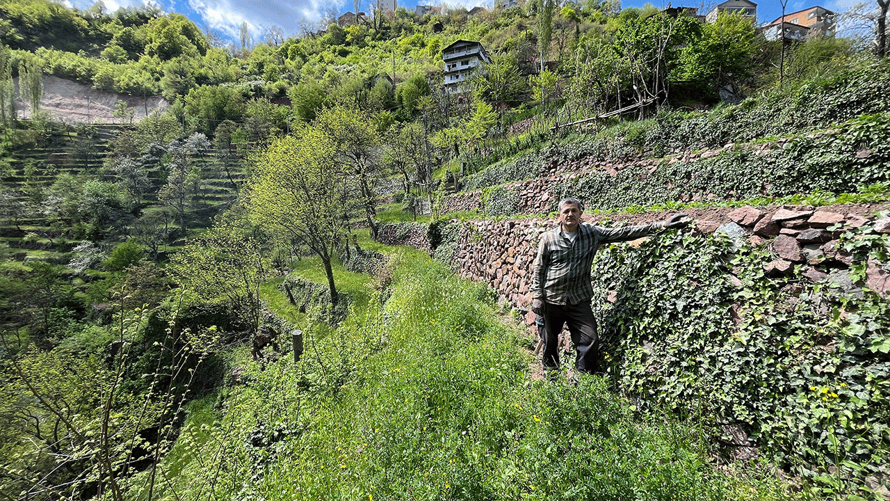 artvinde-3-kusaklik-emek-2-donumluk-araziyi-8-donume-tasidilar