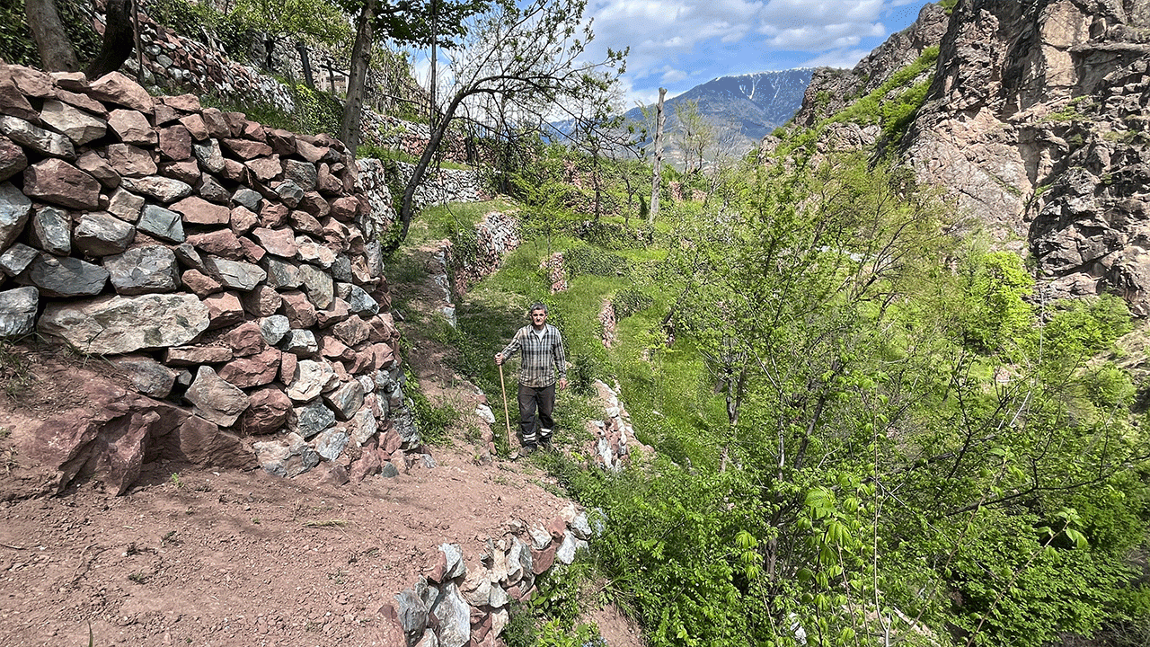 artvinde-3-kusaklik-emek-2-donumluk-araziyi-8-donume-tasidilar