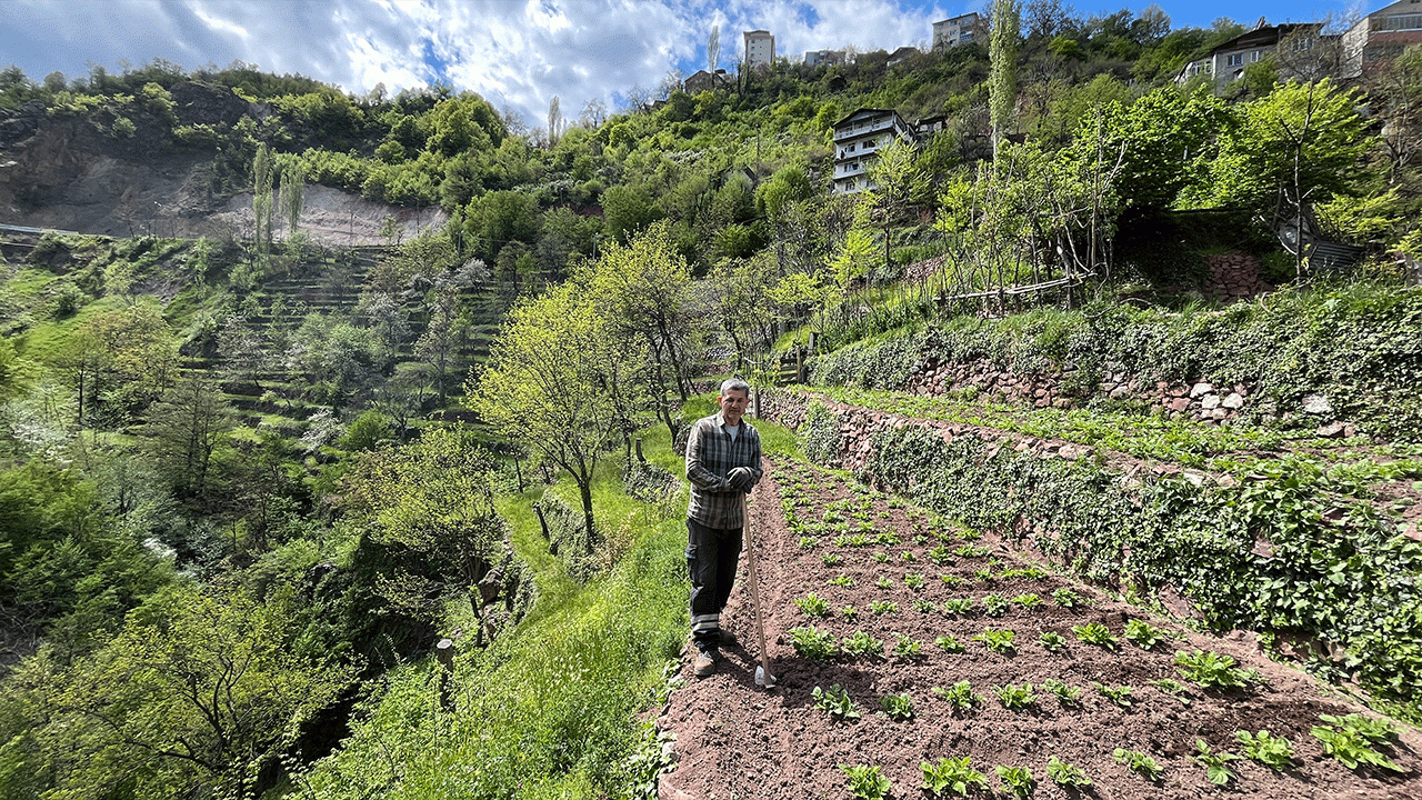 artvinde-3-kusaklik-emek-2-donumluk-araziyi-8-donume-tasidilar