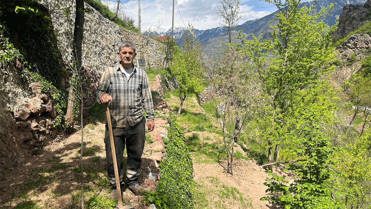 artvinde-3-kusaklik-emek-2-donumluk-araziyi-8-donume-tasidilar